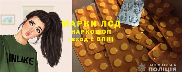 сатива Абинск