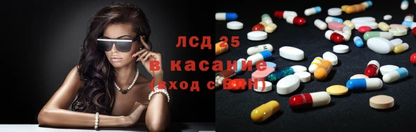 сатива Абинск