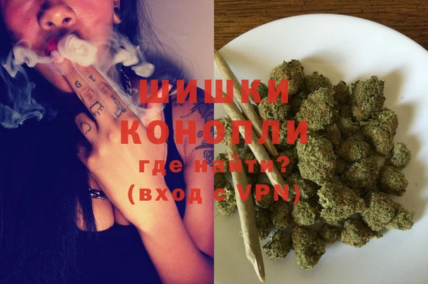 сатива Абинск