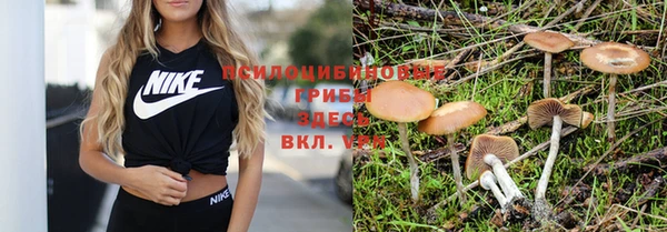 кокс Абдулино